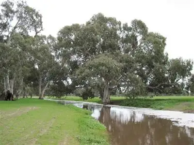 Fifth view of Homely rural property listing, 8359 Casterton-Apsley Road, Apsley VIC 3319