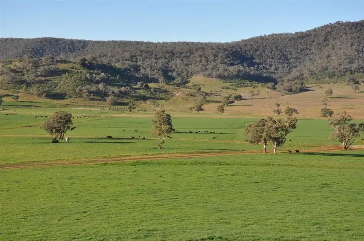 Second view of Homely rural property listing, 6749 Bylong Valley Way, Bylong NSW 2849
