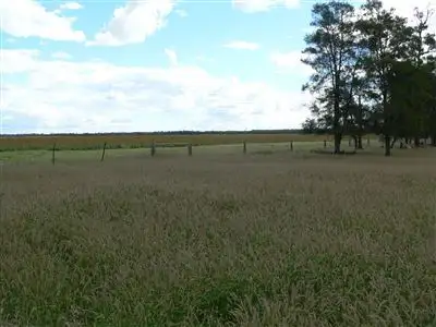 Fourth view of Homely rural property listing, . "Boolara", Meandarra QLD 4422