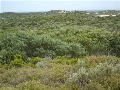 Third view of Homely rural property listing, . Nora Creina, Robe SA 5276