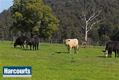 Main view of Homely rural property listing, 85 Paynter Road, Neerim Junction VIC 3832
