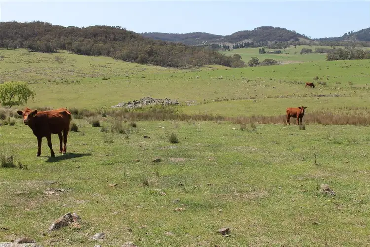 Second view of Homely rural property listing, 728 Kain Cross Road, Hereford Hall via, Braidwood NSW 2622