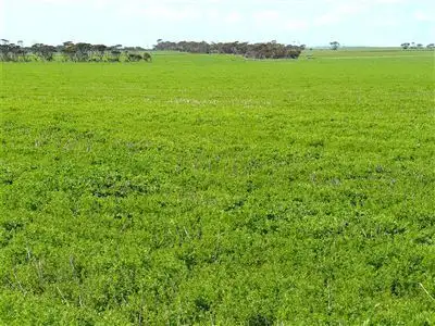 Sixth view of Homely rural property listing, Lot 5 North Coast road, Point Turton SA 5575