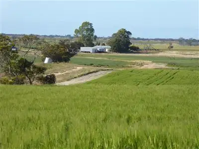 Fourth view of Homely rural property listing, 2117 Senior Road, Bordertown SA 5268