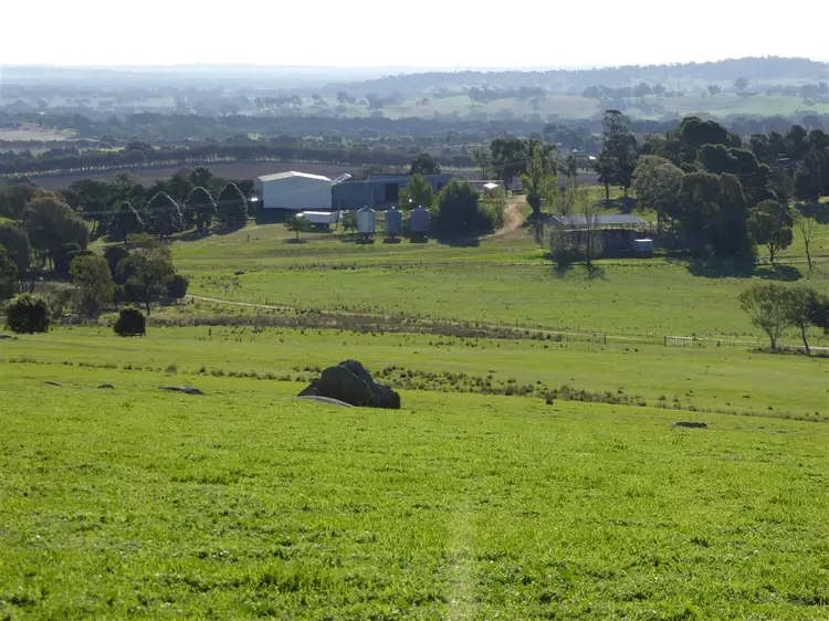 665 Yankee Crossing Road, Henty NSW 2658