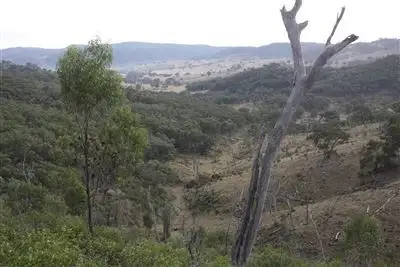 Main view of Homely rural property listing, L242/2005 Queens Pinch Road, Meroo, Mudgee NSW 2850