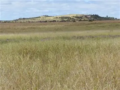 Main view of Homely rural property listing, . "Waterview", Injune QLD 4454