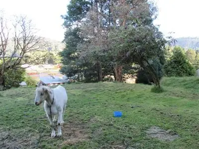 Sixth view of Homely land listing, 45 Peters Street, Tullah TAS 7321