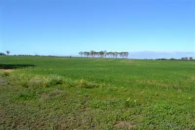 Third view of Homely rural property listing, 7742 Kwolyn Road, Kellerberrin WA 6410