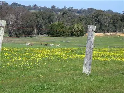 Seventh view of Homely land listing, 1718 Greenbushes Boyup Brook Road, Bridgetown WA 6255