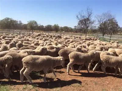 Third view of Homely rural property listing, Address available on request