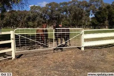 Sixth view of Homely rural property listing, 375 Orrvale Rd, Orrvale VIC 3631