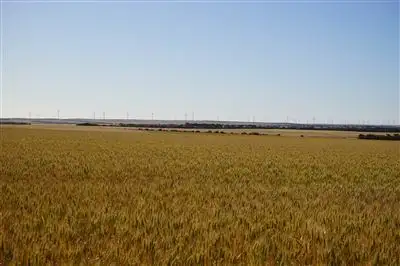 Lot 25215 Tandegin East Road, Muntadgin WA 6420