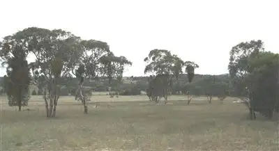 Second view of Homely rural property listing, 3047 Mitchell Highway, Dubbo NSW 2830