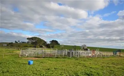 Main view of Homely rural property listing, 450 Perkindoo Road, Cooke Plains SA 5261