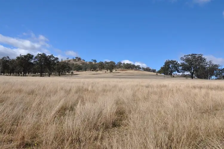 Second view of Homely rural property listing, 163 Milford Hills Lane, Scone NSW 2337