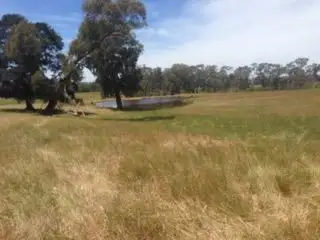 Main view of Homely rural property listing, 809 Mansfield Road, Benalla VIC 3672