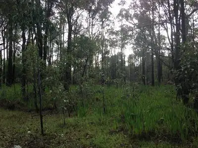 Main view of Homely land listing, 10 CROSSING STREET, Greenbushes WA 6254