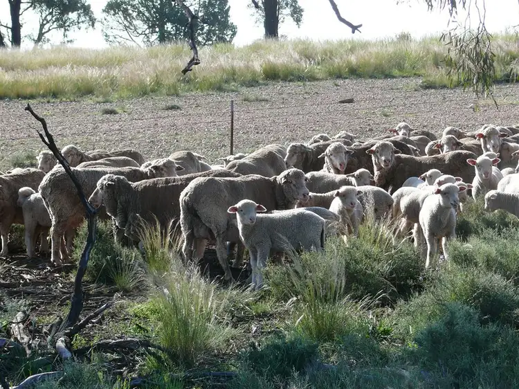 Third view of Homely rural property listing, Address available on request