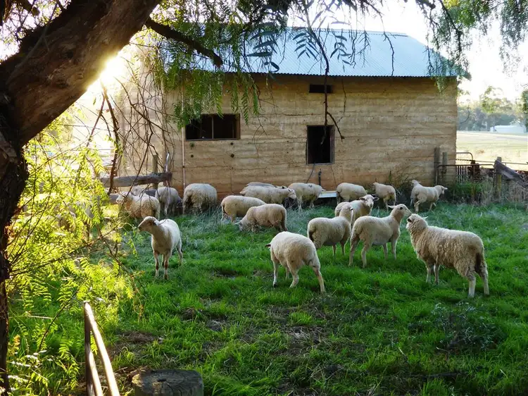 Fourth view of Homely rural property listing, 57 Nulla Nulla Road, Corowa NSW 2646