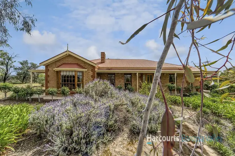 Third view of Homely rural property listing, 85 Willows Road, Stockwell SA 5355
