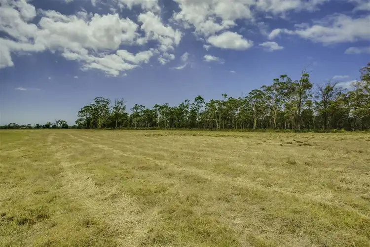 Fourth view of Homely rural property listing, 1262 Bridport Road, Bridport TAS 7262