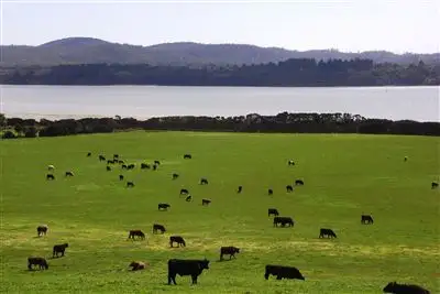 Main view of Homely rural property listing, 37 Blackwood Hills Road, Rowella TAS 7270