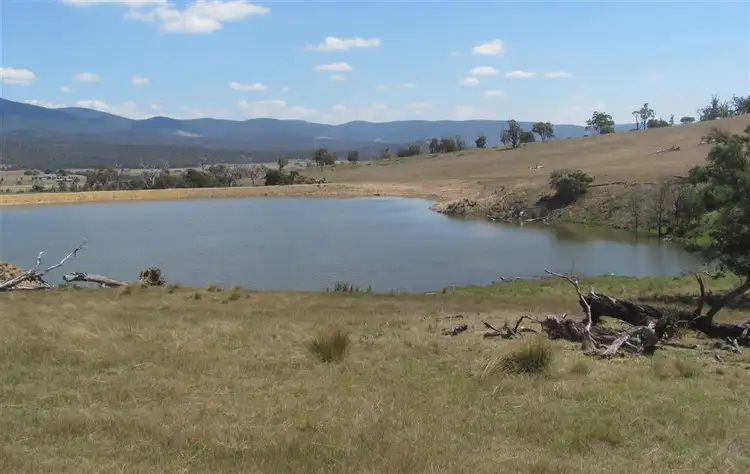 Fifth view of Homely rural property listing, 1061 Royal George Road, Royal George TAS 7213