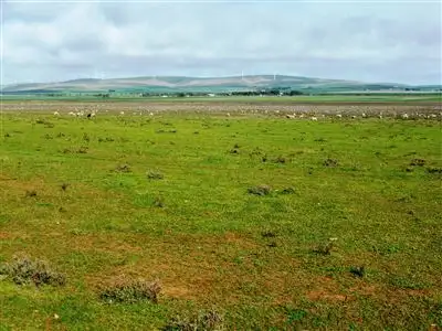 Seventh view of Homely rural property listing, Address available on request