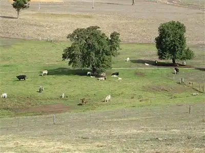 Fifth view of Homely rural property listing, 978 Balbarrup Road, Balbarrup WA 6258