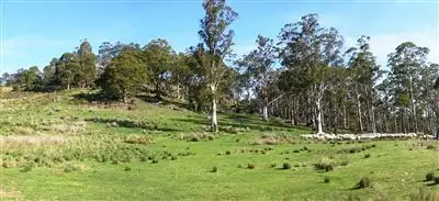 Fourth view of Homely rural property listing, 740 Honeysuckle Road, Ross TAS 7209