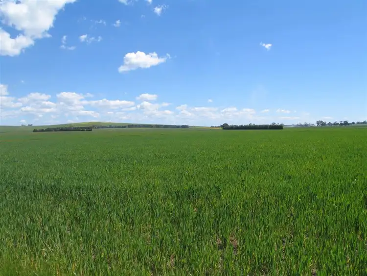 Third view of Homely rural property listing, 1435 Lismore-Pitfield Road, Wallinduc VIC 3351