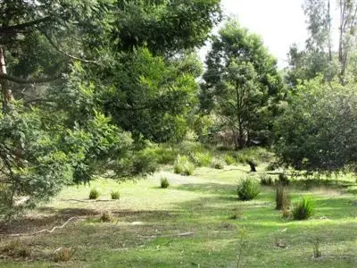 Third view of Homely land listing, 671A Deviot Road, Deviot TAS 7275