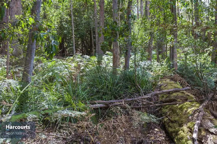 Second view of Homely land listing, RA Fyfes Road, Mountain River TAS 7109