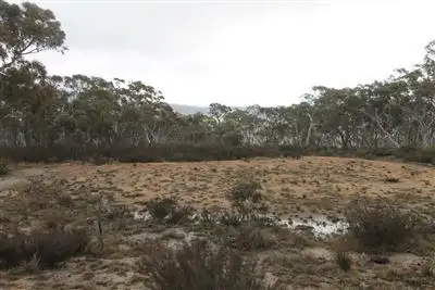 Seventh view of Homely rural property listing, 363 Farringdon Road, Braidwood NSW 2622