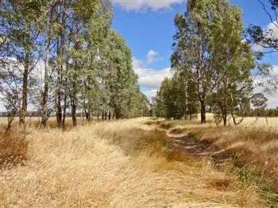 Sixth view of Homely rural property listing, 0 Robbins Road, Boorhaman VIC 3678