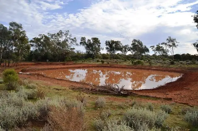 Seventh view of Homely rural property listing, * Mildyn Park, Cobar NSW 2835