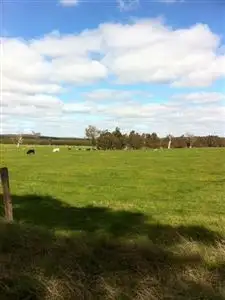 Fourth view of Homely rural property listing, 33 Old Flynn Road, Flynn VIC 3844