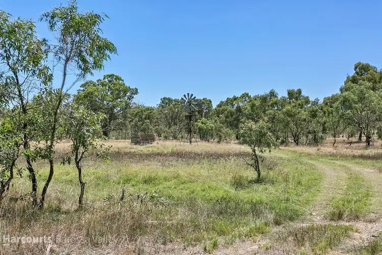 Third view of Homely rural property listing, Lot 537 Murray Road, Keyneton SA 5353