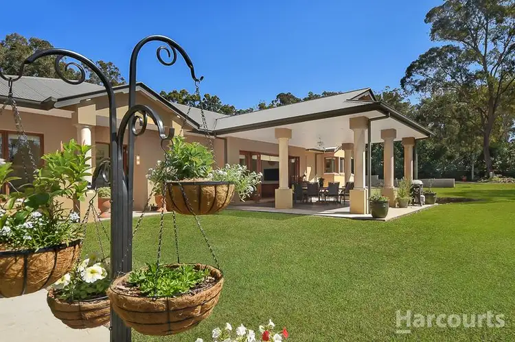 Main view of Homely rural property listing, 31 Poplar Court, Morayfield QLD 4506