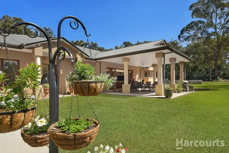Main view of Homely rural property listing, 31 Poplar Court, Morayfield QLD 4506