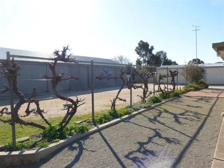 Sixth view of Homely house listing, 19 Collins Street, Jamestown SA 5491