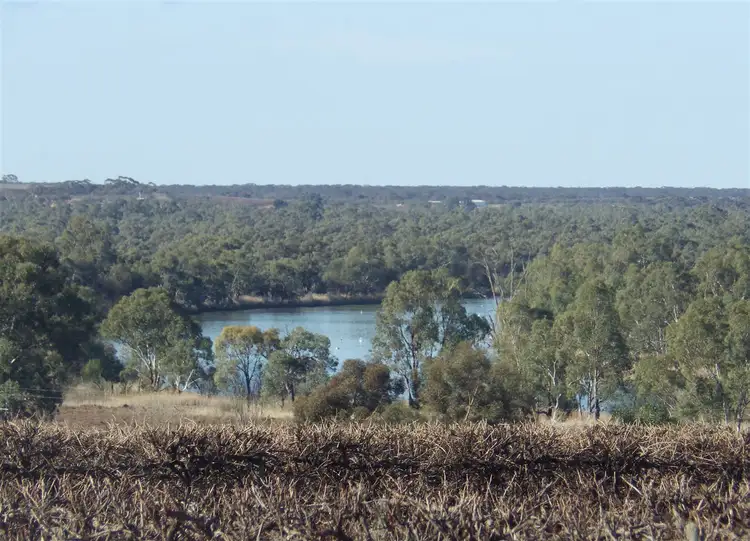 Main view of Homely rural property listing, A1,2 & 17 Farley Road, Kingston On Murray SA 5331
