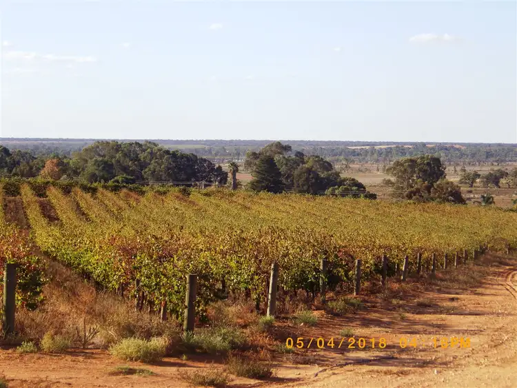 Fourth view of Homely rural property listing, A1,2 & 17 Farley Road, Kingston On Murray SA 5331