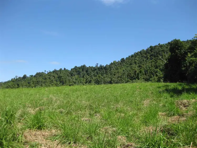 Sixth view of Homely rural property listing, Lot 264 Old Tully Road, Maadi QLD 4855
