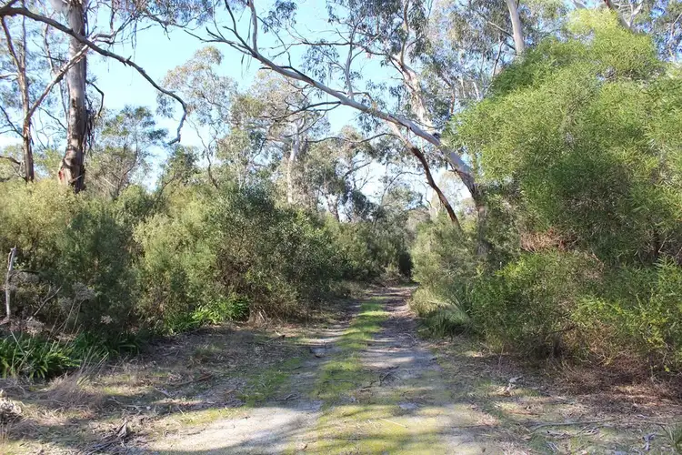 Second view of Homely rural property listing, 111 Yarram Port Albert Road, Langsborough VIC 3971