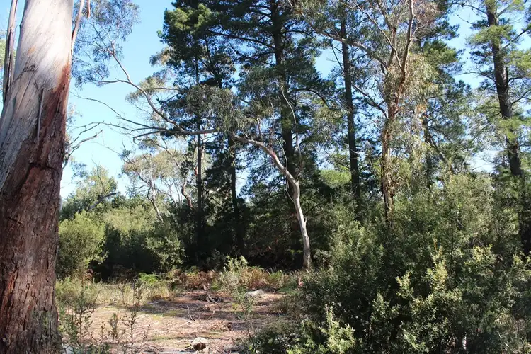 Seventh view of Homely rural property listing, 111 Yarram Port Albert Road, Langsborough VIC 3971