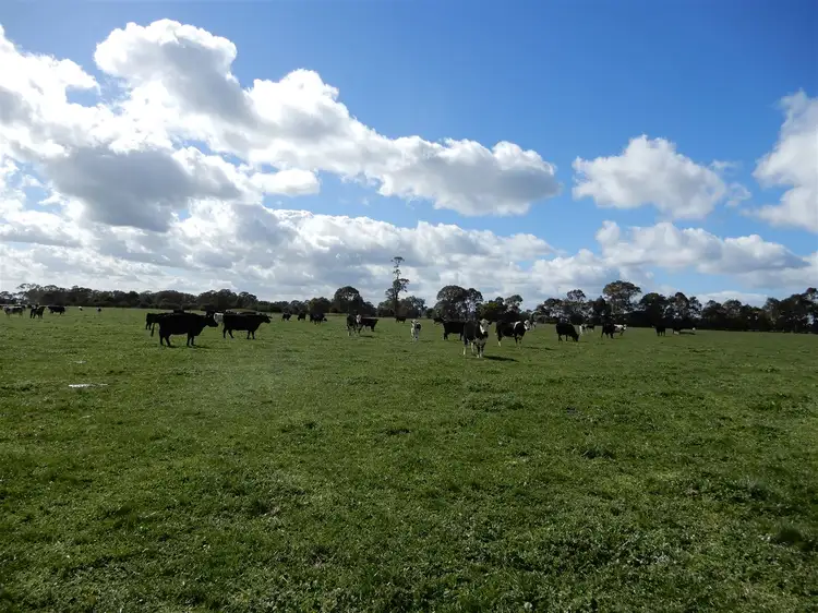 Fifth view of Homely rural property listing, 390 Barrs Lane, Flynn VIC 3844