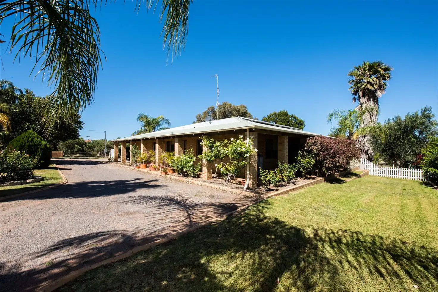 Main view of Homely house listing, 11 Tulloch, Dongara WA 6525