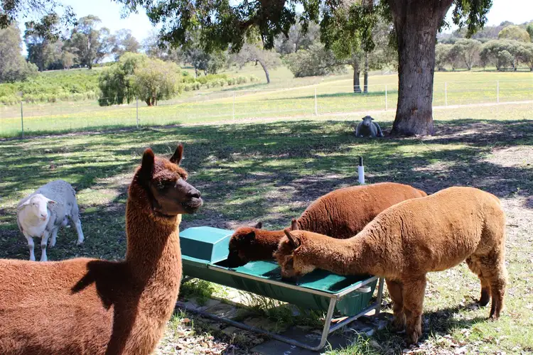 Second view of Homely land listing, Lot 219/135 Rangeview Drive, Wanerie WA 6503